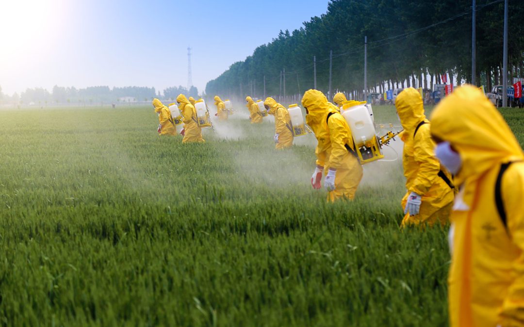La Belgique est le 8ème pays accordant le plus de dérogations pour les pesticides dangereux et interdits dans l’union européenne !
