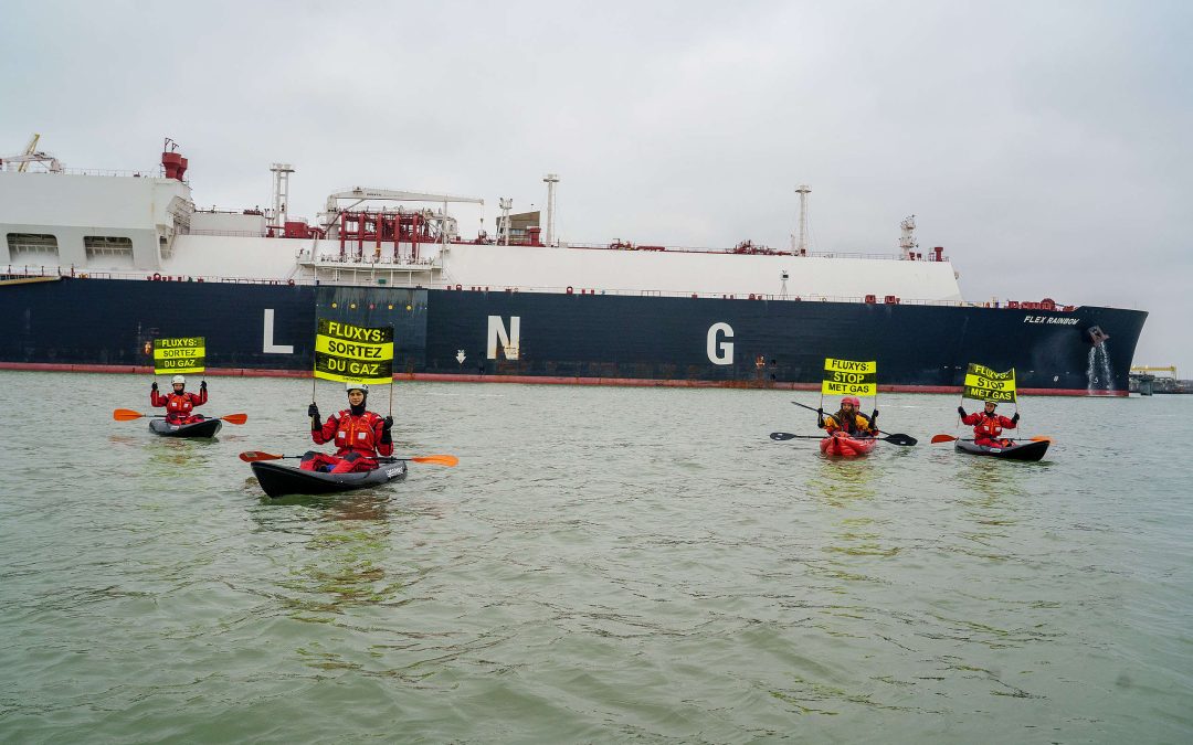 Des militant.e.s de Greenpeace en procès : la criminalisation de l’activisme environnemental